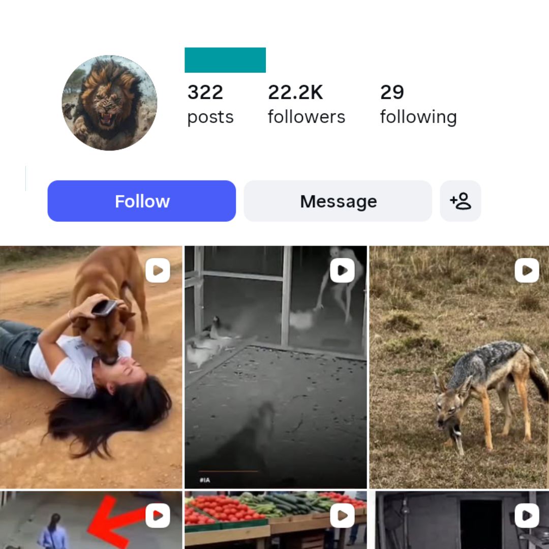 22K Wildlife Hunting Instagram Account for sale 22K Wildlife Hunting Instagram Account - Image 1