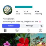 2K Flower Lover Instagram Account