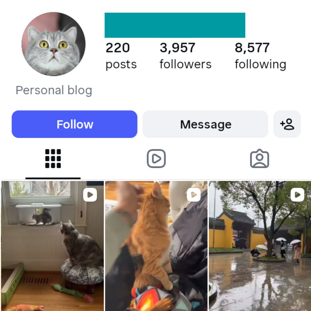 3K Cute Cats Instagram Account for sale 3K Cute Cats Instagram Account - Image 1