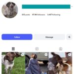 45K Pets Dogs Instagram Account