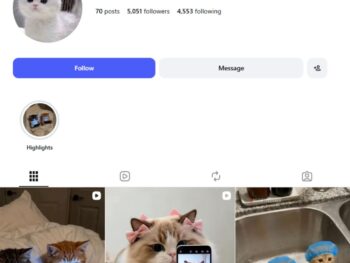 5K Kittens Instagram Account