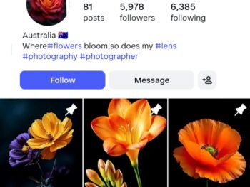 5K Beautiful Flower Instagram Account