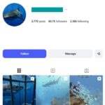 60k Shark Ocean Life Instagram Account