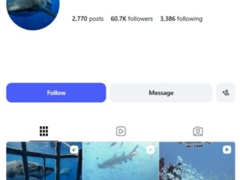 60k Shark Ocean Life Instagram Account
