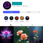 4K Flower Photography Instagam Account