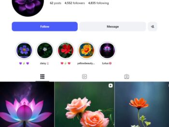 4K Flower Photography Instagam Account