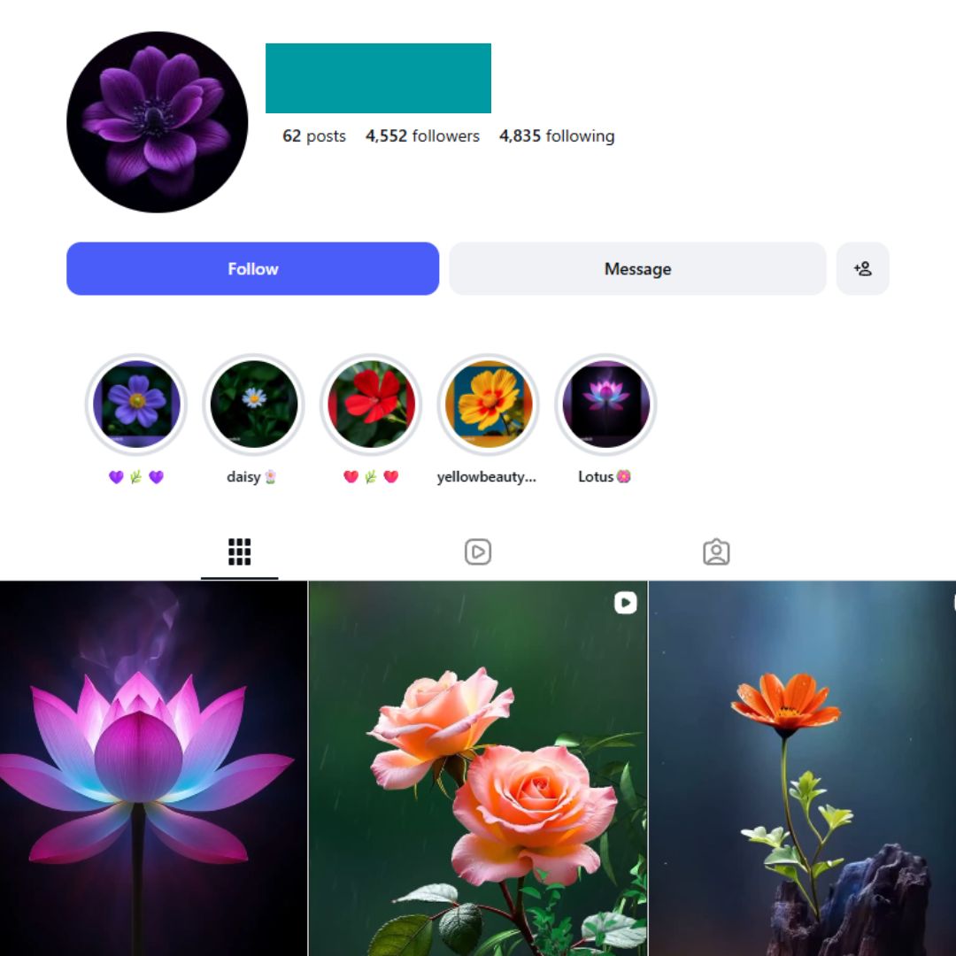 6K 4K Flower Photography Instagam Account - Image 1