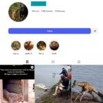 7K Wild Animal Instagram Account