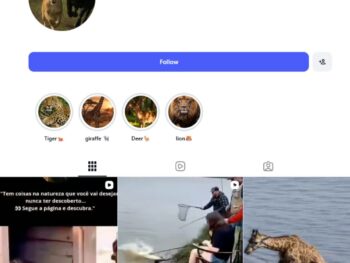 7K Wild Animal Instagram Account