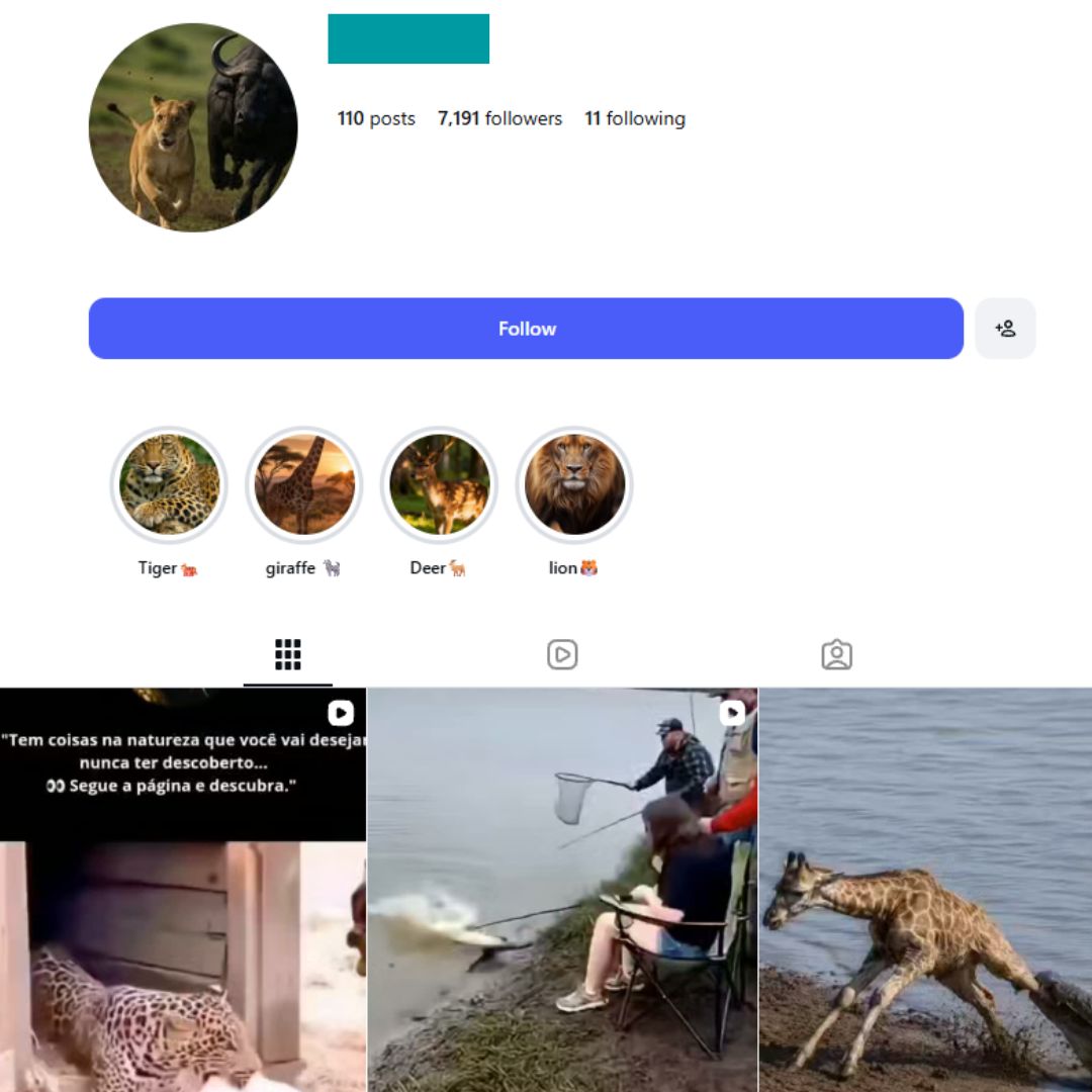 7K Wild Animal 7K Wild Animal Instagram Account - Image 1