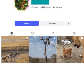 10K Wildlife Instagram Account