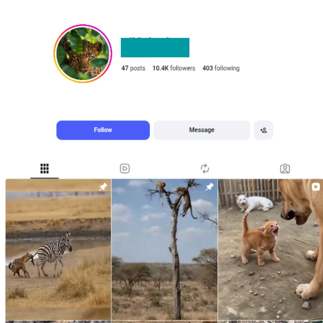 10K Wildlife Instagram Account for sale 10K Wildlife Instagram Account - Image 1