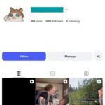 140K Viral Kittens Cats Instagram Account