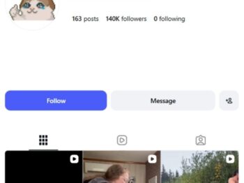 140K Viral Kittens Cats Instagram Account