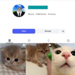 21K Funny Cat Moments Instagram Account