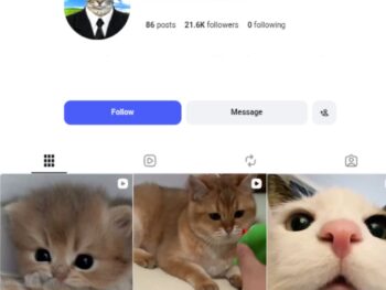 21K Funny Cat Moments Instagram Account