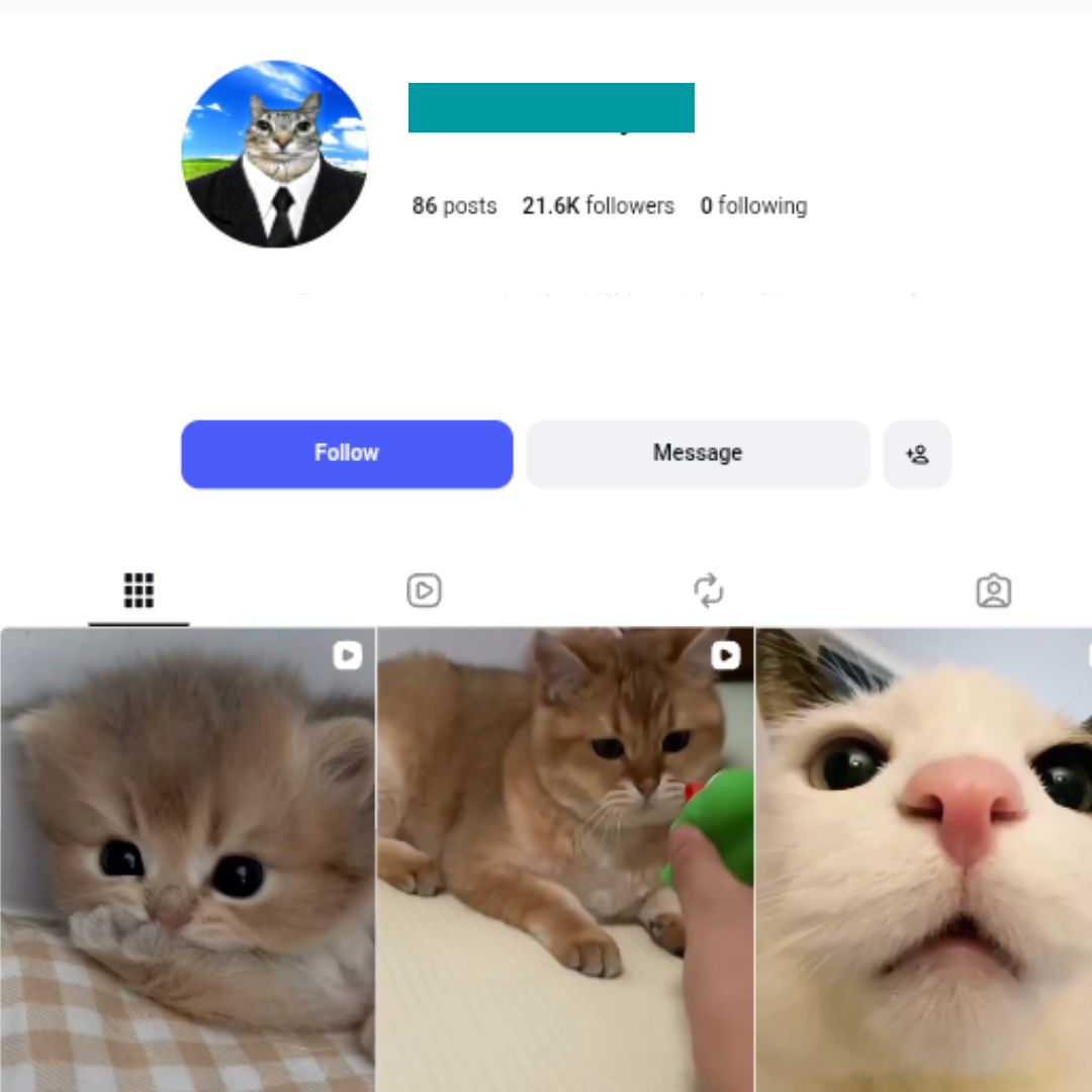 21K Funny Cat Moments Instagram Account for sale 21K Funny Cat Moments Instagram Account - Image 1