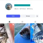3K Seal Instagram Account
