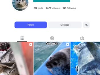 3K Seal Instagram Account