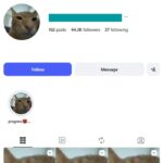 40K Cat Music Trend Instagram Account
