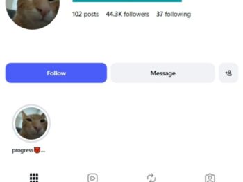 40K Cat Music Trend Instagram Account
