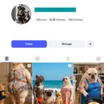 60K Funny Dogs Instagram Account