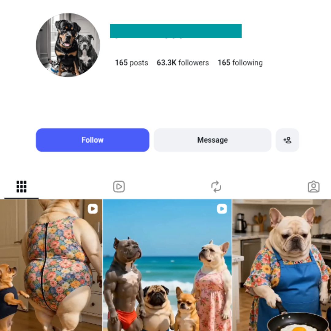 60K Funny Dogs Instagram Account for sale 60K Funny Dogs Instagram Account - Image 1
