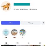 85K Cute Pet Dog Instagram Account