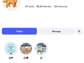 85K Cute Pet Dog Instagram Account