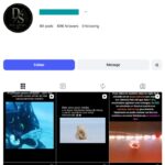 100K Wildlife Nature Instagram Account