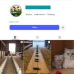 11K Farm Life Instagram Account