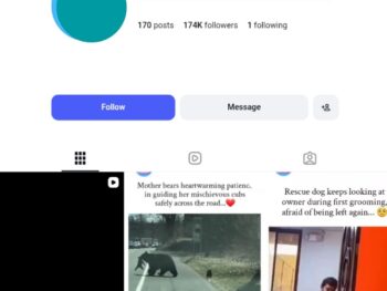 170K Heartwarming Animal Moments Instagram Account