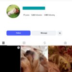 1K Dog Moments Instagram Account