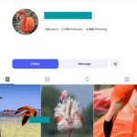 2K Flamingo Lovers Instagram Account