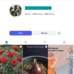 2K Plants Instagram Account