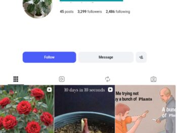 2K Plants Instagram Account