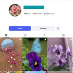 3K Flower Photography Instagram Account