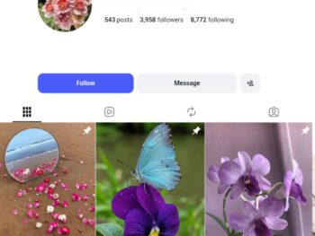 3K Flower Photography Instagram Account