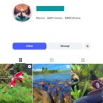 4K Fishing Moments Instagram Account