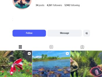 4K Fishing Moments Instagram Account