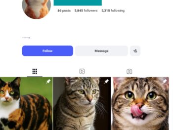 5K Cute Cats Instagram Account