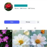 5K Flower Photography Instagram Account