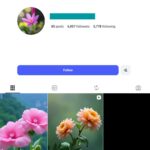 6K Floral Photography Instagram Account