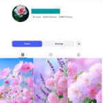 6K Floral World Instagram Account