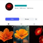 7K Beautiful Flower Instagram Account