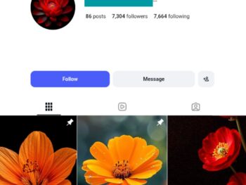 7K Beautiful Flower Instagram Account