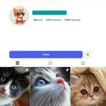 7K Cute Cats Instagram Account