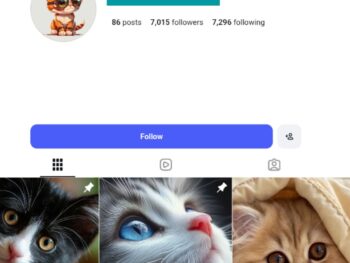 7K Cute Cats Instagram Account