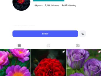 7K Flower Instagram Account