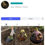 85K AI Fruit Planting Instagram Account